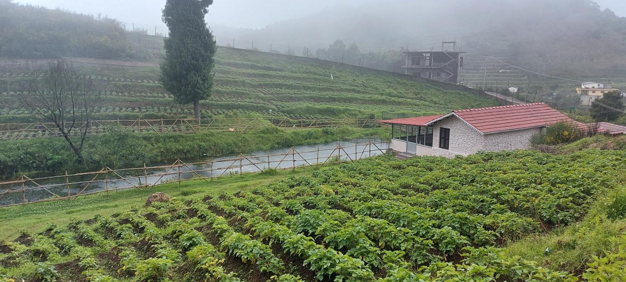 Armaan'S Mud Mart Villa Kodaikanal Eksteriør billede